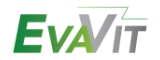Logo_EVAVIT